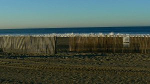 @5DAliceMachine @Prolotario1 @Reneefit97 I remember fondly yrs ago following clues real @HSRetoucher gave, leading to a DUMBs entrance disguised as a Snowy Plover bird breeding sanctuary -a small area fenced off on Santa Monica Beach (like the bird like that little patch of beach!🤡) I solved it-it was a thrill for Me!