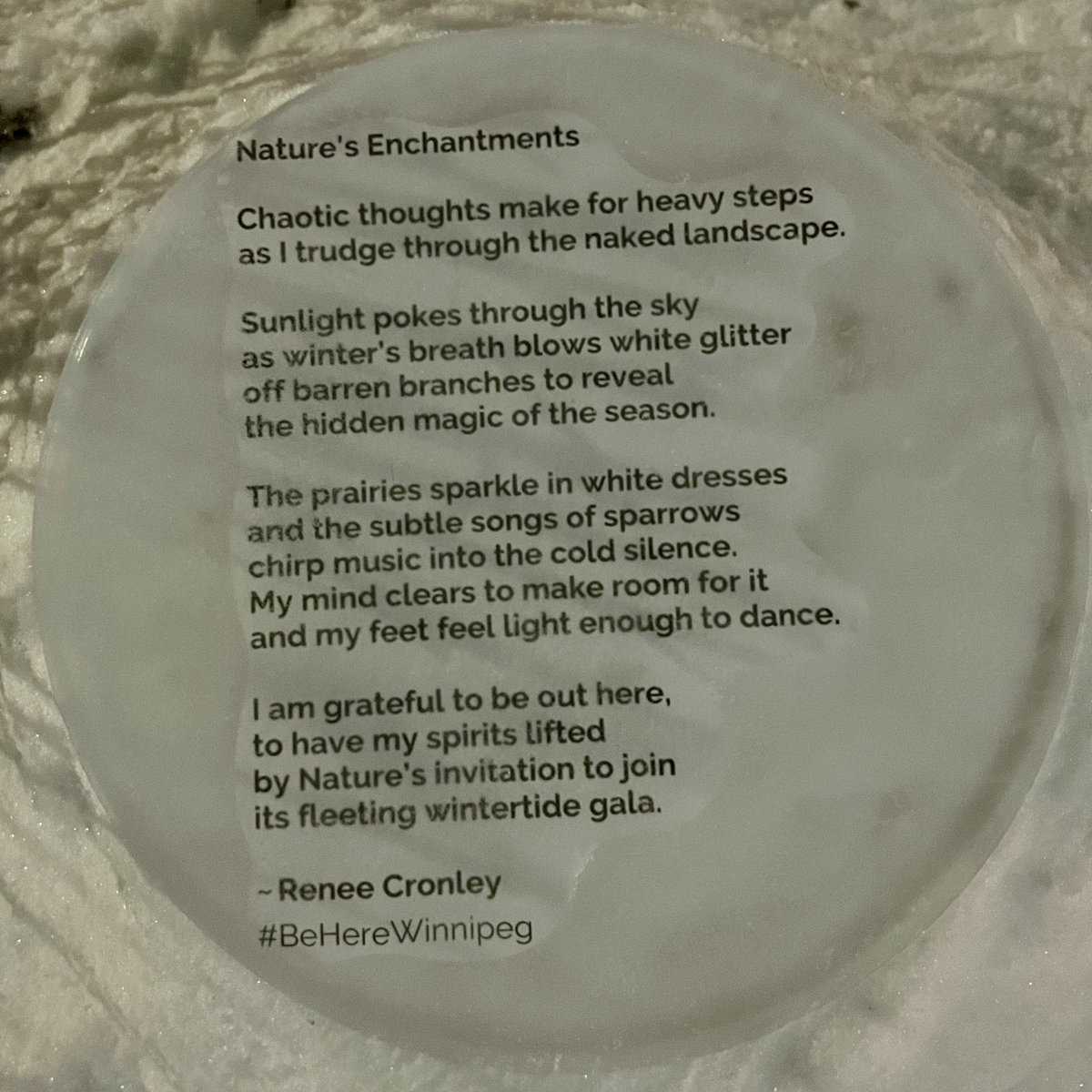 240 Tache tweet media