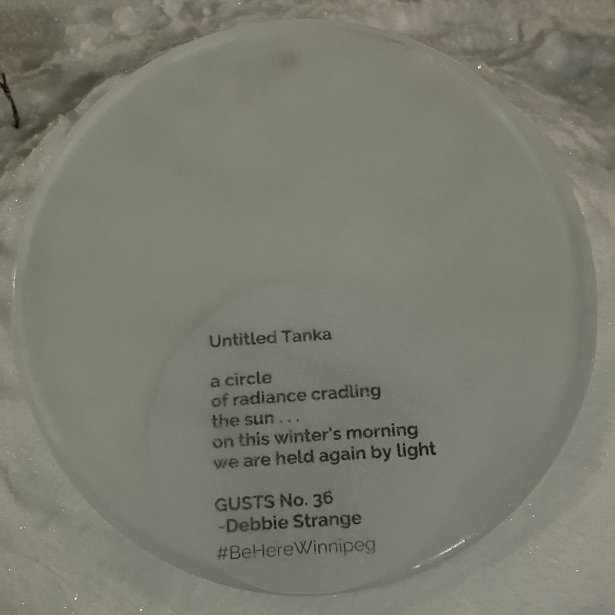 240 Tache tweet media