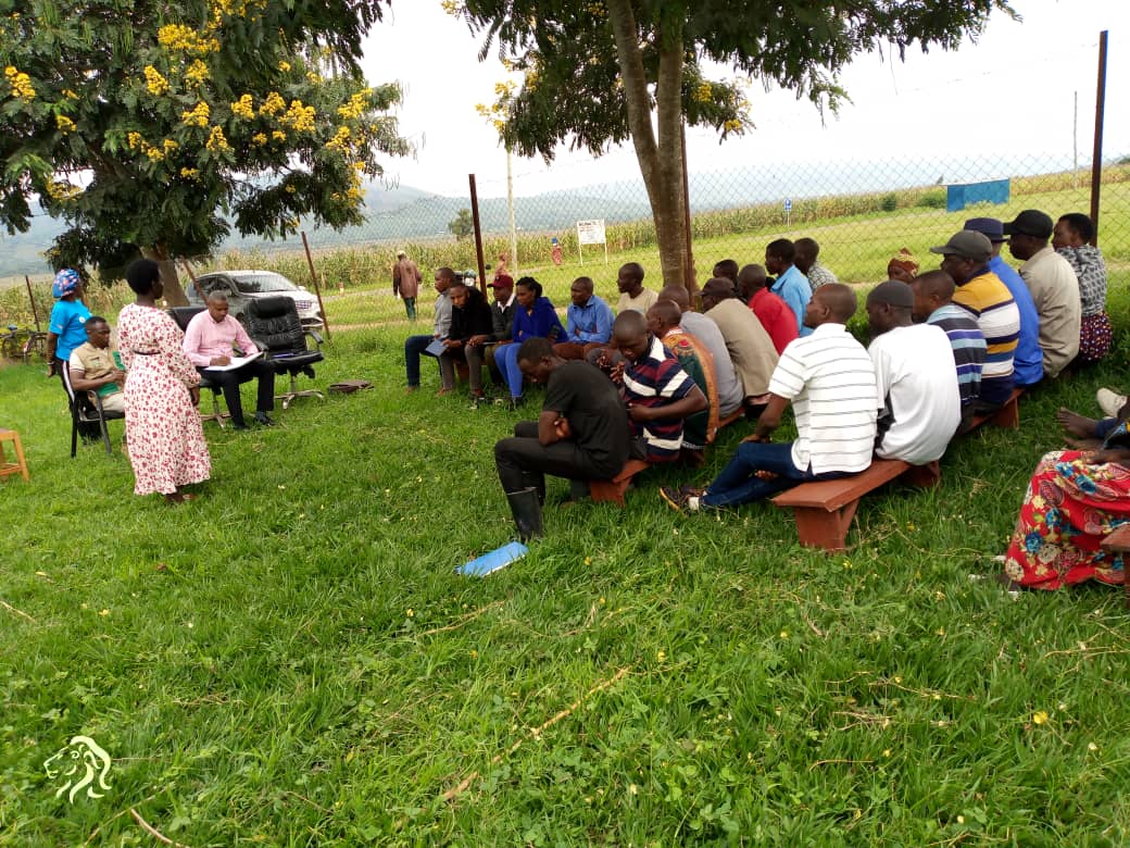 MUSHERI SECTOR tweet media