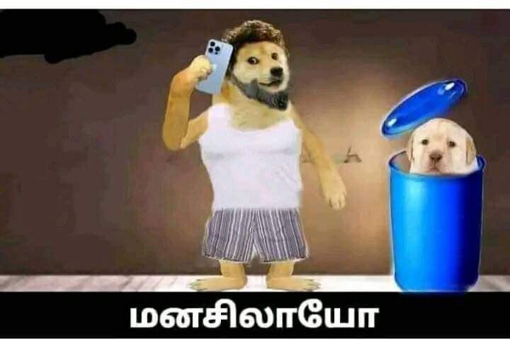 anirudthoff_'s tweet photo. Thothutinga da Aamais 🤣🤣 https://t.co/e4ejUZVGqQ