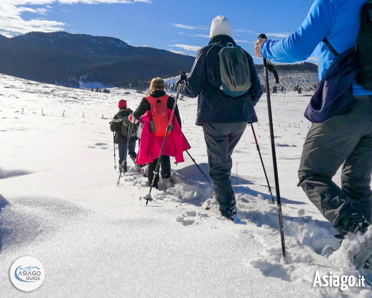 AsiagoIt's tweet photo. Buongiorno amici! 🙂 
Camminare sulla #neve con le racchette ai piedi, sollevando nuvole di cristalli scintillanti... Avete presente quel fruscio inconfondibile? 😍

#Asiagoit #altopianodiasiago #montagna #ciaspole

Le prossime #ciaspolate guidate: https://t.co/ACmkwPNbAw