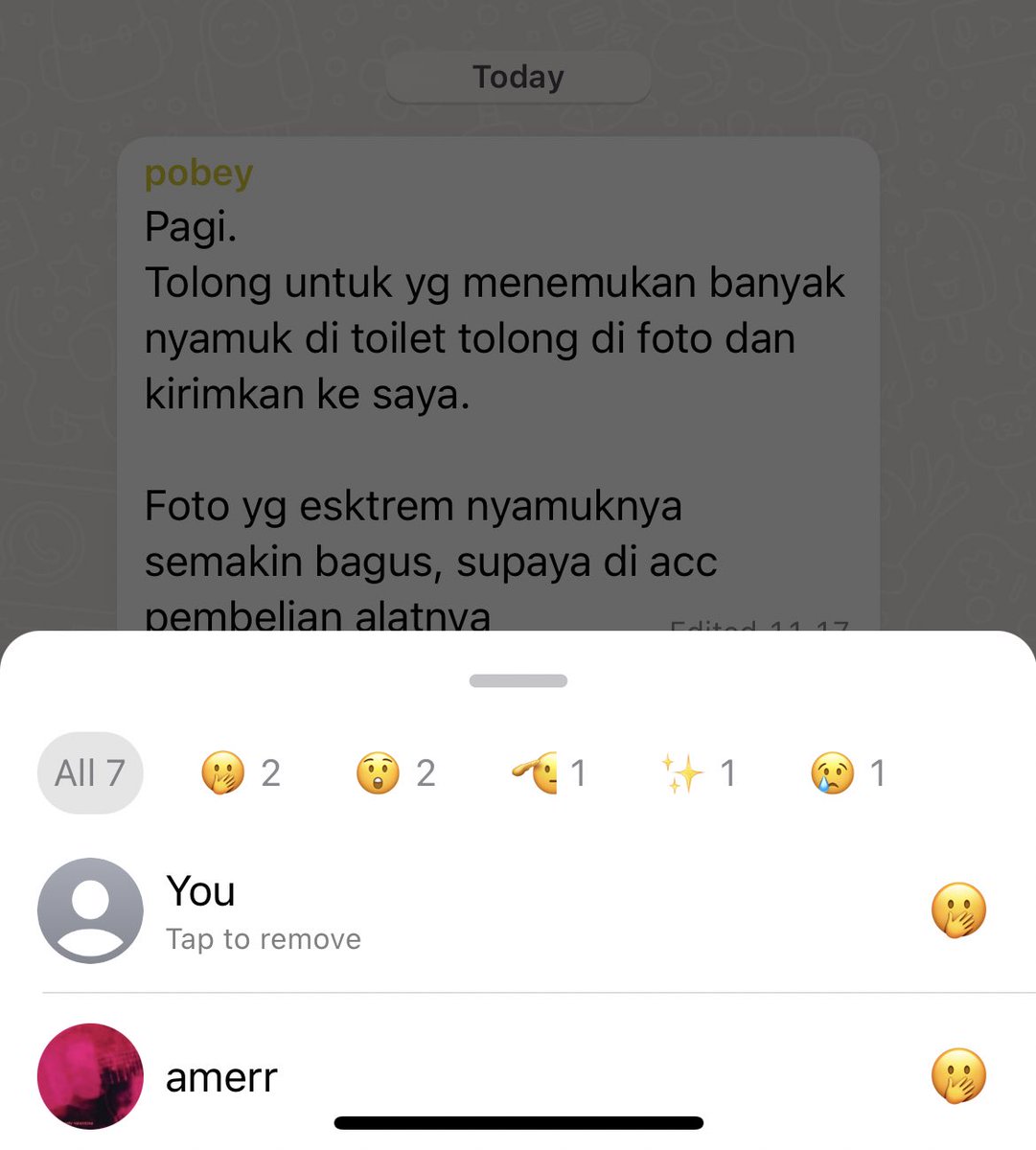 kekashauan's tweet image. #gibah #nyamuk #ekstrem