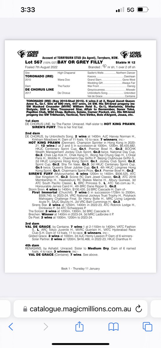 Rohan Hughes (@rohanjhughes) on Twitter photo Incredibly pleased to have secured this absolute Queen Lot 567 <a href="/mmsnippets/">Magic Millions</a> By the G1 Sire TORONADO ex half sister to Champion Sprinter and G1 winner HOT KING PRAWN. Action and attitude! This is a proper looking Racehorse. Vobis Sires and Vobis Silver. Get on board! <a href="/Grahame_Begg/">Grahame Begg Racing</a> Incredibly pleased to have secured this absolute Queen Lot 567 <a href="/mmsnippets/">Magic Millions</a> By the G1 Sire TORONADO ex half sister to Champion Sprinter and G1 winner HOT KING PRAWN. Action and attitude! This is a proper looking Racehorse. Vobis Sires and Vobis Silver. Get on board! <a href="/Grahame_Begg/">Grahame Begg Racing</a>