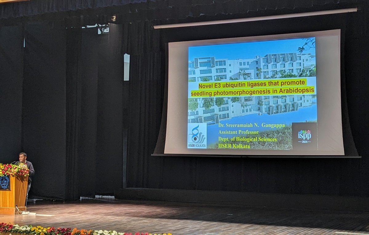 ISPPhotobiology's tweet photo. @sdatta7925 Prof. Sreeramaiah Gangappa @Plant_EnSiGnLab talked about the novel E3 ubiquitin ligases that promote seedling photomorphogenesis in Arabidopsis.

#ISPP2024 #EMBOplantBio https://t.co/4F7oLCADzw