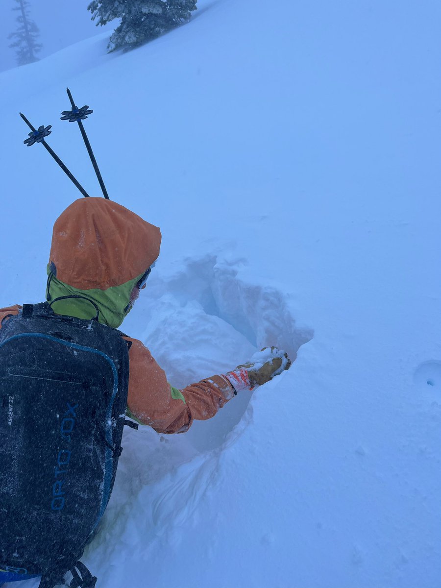 Sobering day in the Sierra following the avalanche at Palisades. Had the chance to stroll around the hills with friends, which revealed a rotten snowpack and non-stop whumphing, indicative of widespread instability. Quick hand pits revealed the culprit facets.