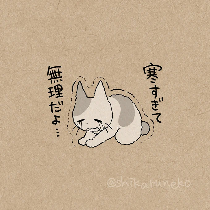 ひどく冷え込む日の うれうねこ