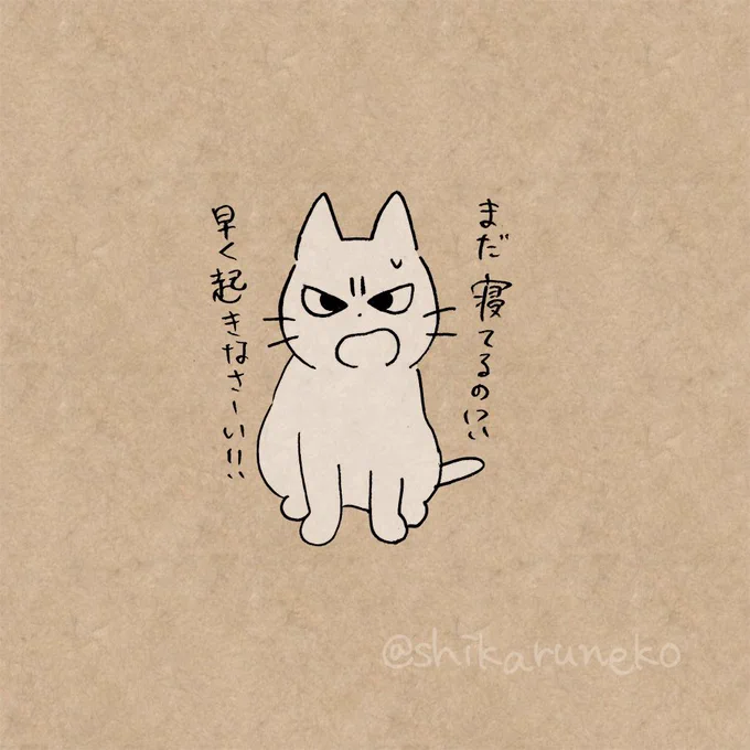 布団が心地良すぎて出られない人と、しかるねこと、あまやかすねこ