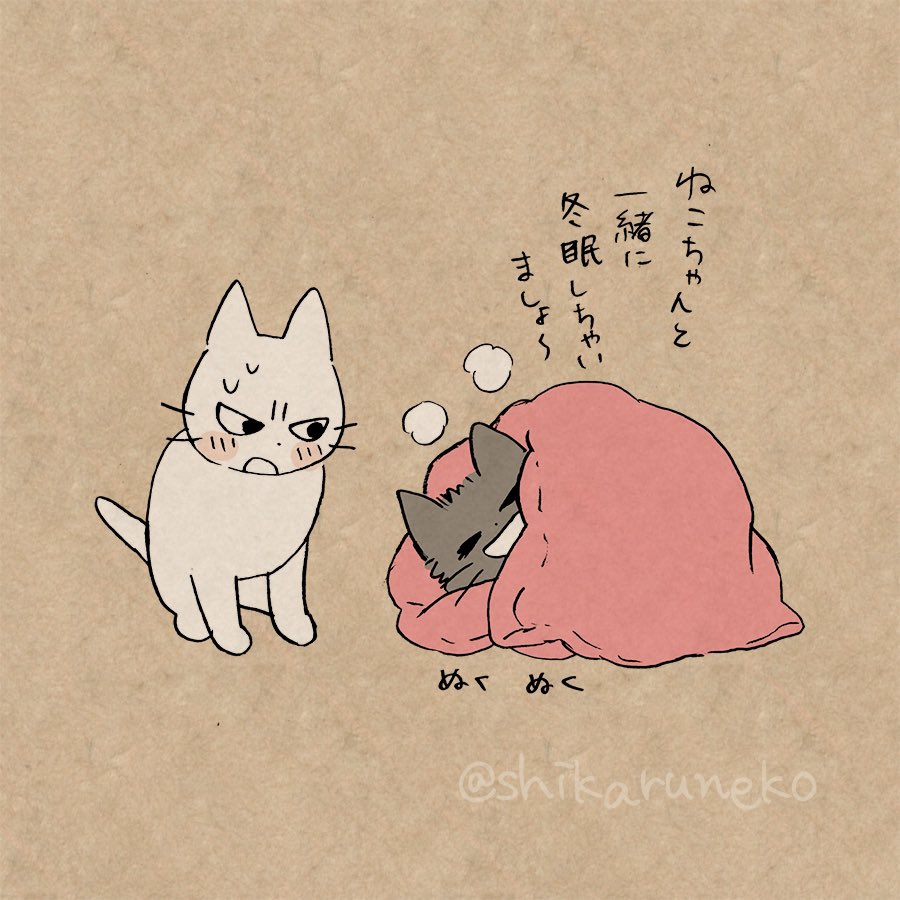 布団が心地良すぎて出られない人と、しかるねこと、あまやかすねこ