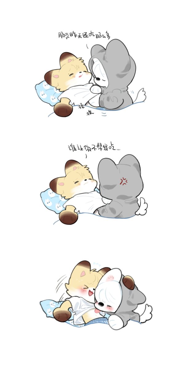 茶君 tweet media