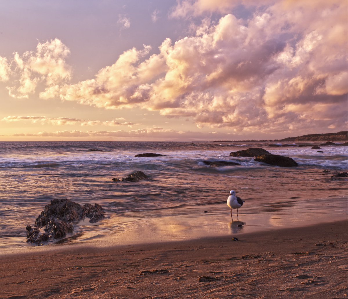 YukiLee_Images's tweet image. QP a photo of a bird.

I know there are some amazing bird photographers out there. I tried. Here’s what I got. Whatcha got?