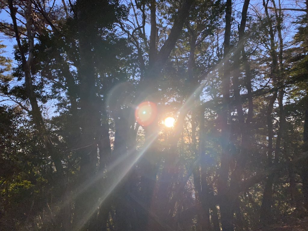 EriErililiy8's tweet photo. @StonehouseTrees 
My.Tamaki in Totsukawa Village, Nara Prefecture, was the seabed in BC. The plate pushed up and uplifted it to 1076. It is coloured with beech forests and diverse vegetation that likes moisture. As a sacred territory, the 💫has been handed down since ancient ⏳. https://t.co/sQp983OHUw