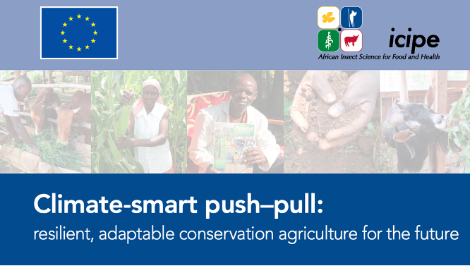EUinKenya's tweet photo. EU Ambassador @EUAmbKenya will be visiting Homa Bay County.  With EU support the Push-Pull technology has empowered farmers through nature-based pest management. Insects are repelled from the food crop and are simultaneously attracted to a specially planted crop. @icipe https://t.co/WccufoX9zS