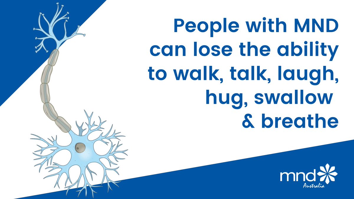 #FridayFact Motor neurone disease attacks the nerves that communicate between the brain and the muscles. 
When these motor neurons die, people can lose the ability to move, talk, eat and breathe.

Learn more: mndaustralia.org.au/mnd-connect/wh…
#MND