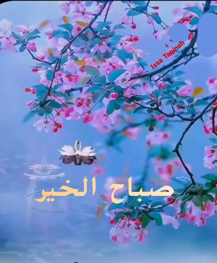 1000_kdk's tweet photo. @Mosfer555 https://t.co/xT4DU01DMV