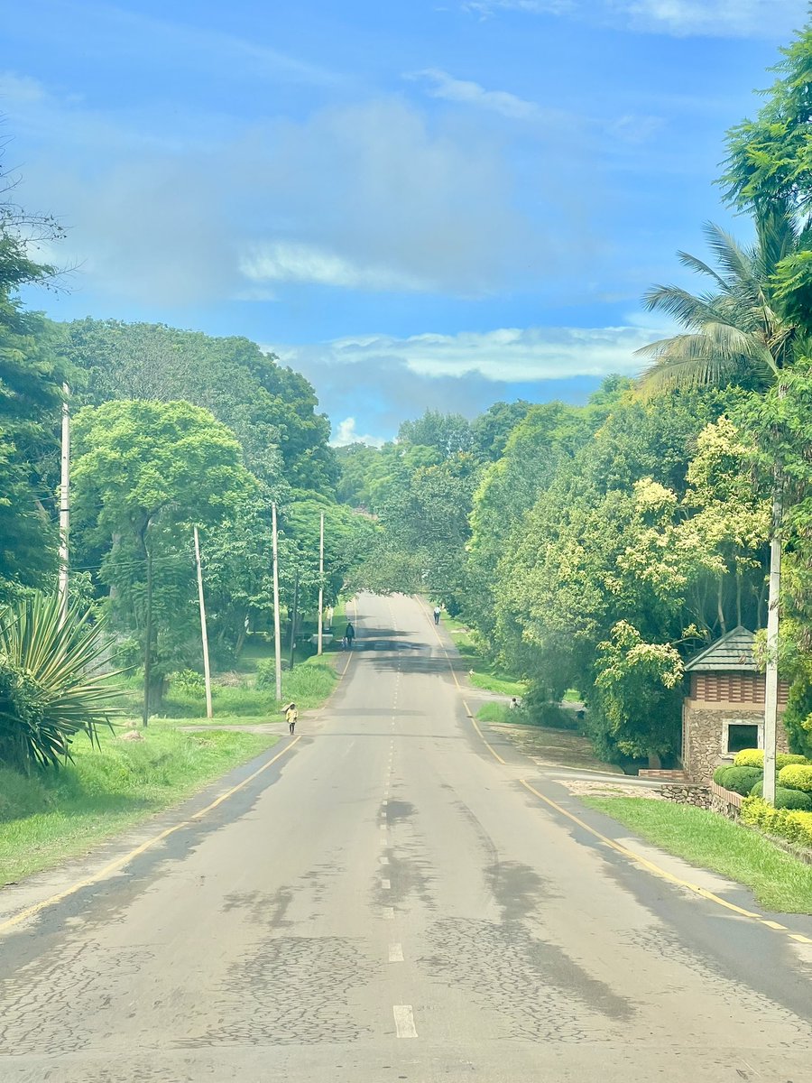 Jones Ntaukira tweet media
