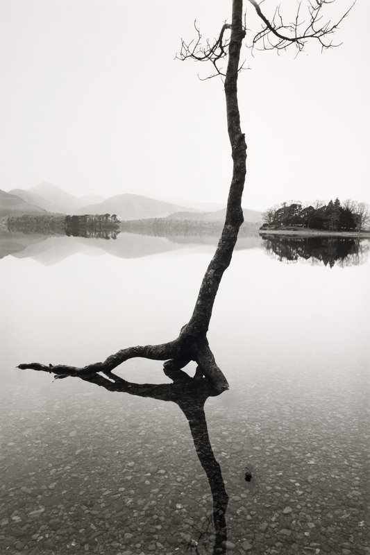 #WOMENSART tweet media