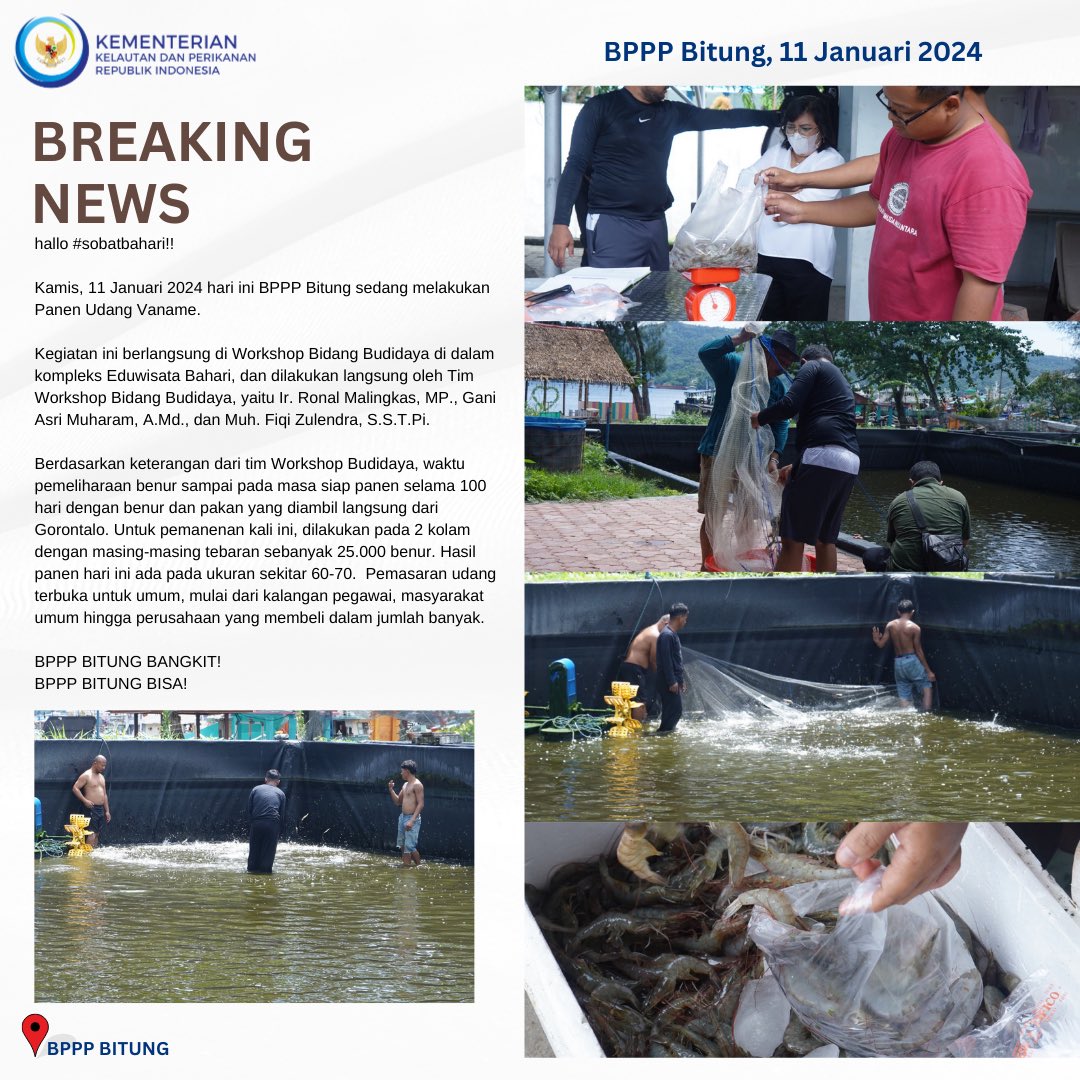 bpmkp_bitung's tweet photo. hallo #sobatbahari!!
Kamis, 11 Januari 2024 hari ini BPPP Bitung sedang melakukan Panen Udang Vaname.
#kkp
#bppsdmkp
#kkptrive
#bpppbitung https://t.co/99qQT4t9y6