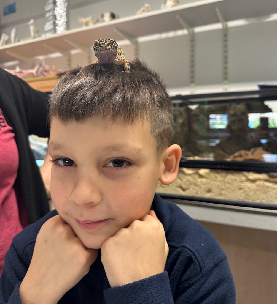 Knowle DGE tweet media