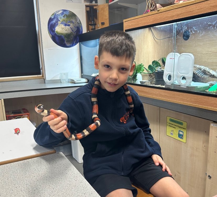 Knowle DGE tweet media