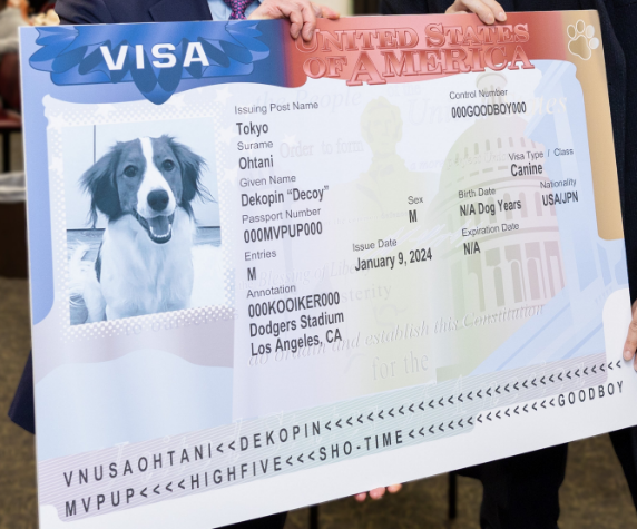 デコピンページ Dekopin (デコピン) 🤎 #Decoy #Dekopin #DekopinOhtani #DecoyOhtani