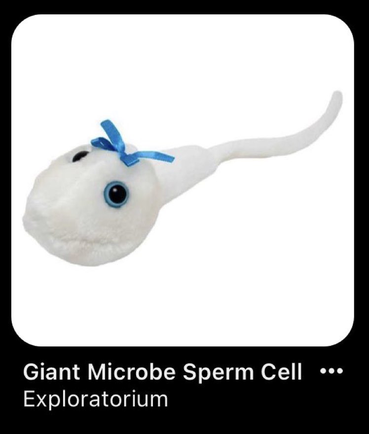 ‍ ‍ ‍ ‍ ‍ ‍ ‍ ‍ ‍ ‍ ‍ 𝔊𝓸𝐝𝔠ʰ𝐢𝙡𝒹 (@godchiids) on Twitter photo 