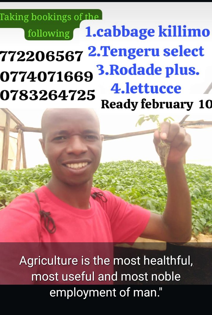 Greenfield Seedlings tweet media