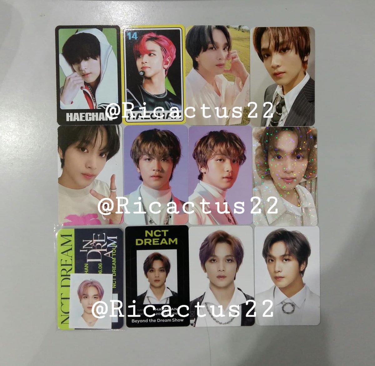 Ricactus🌵🤍🐬 tweet media