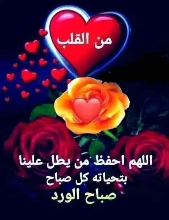 Suliman tweet media