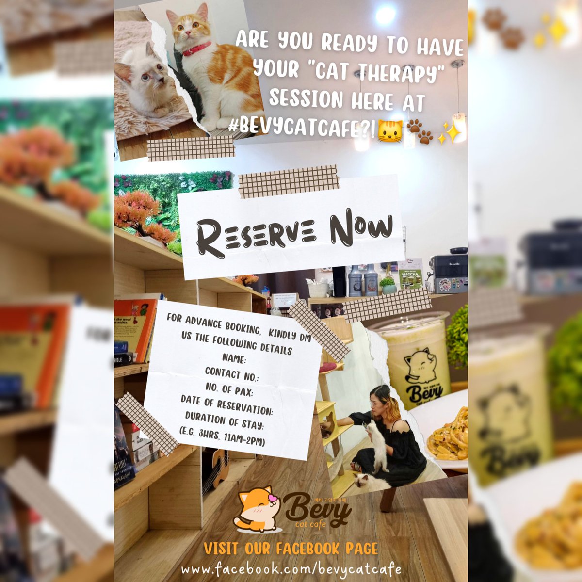 bevycatcafe's tweet photo. Reserve Na! 🐱🐾✨️ #bevycatcafe https://t.co/VbcgswdJcJ