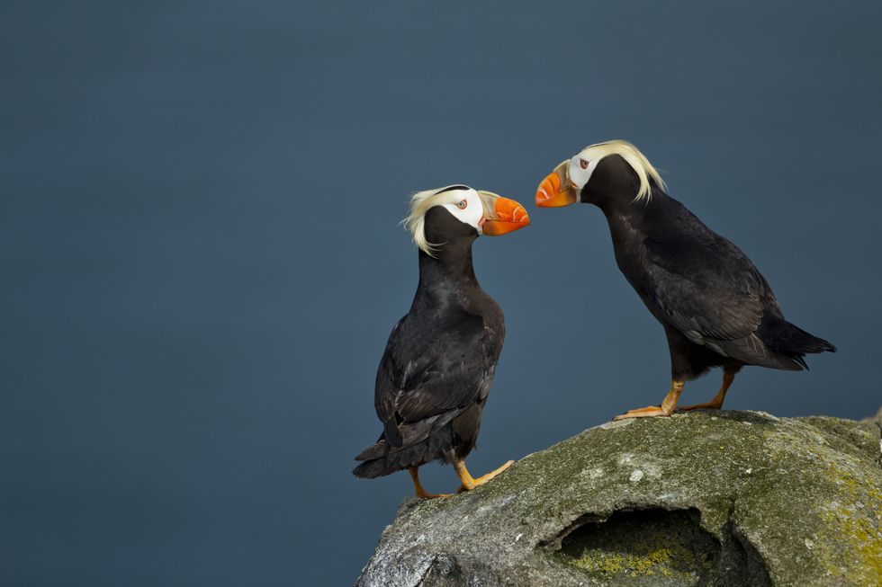 Kaylin Gable tweet media