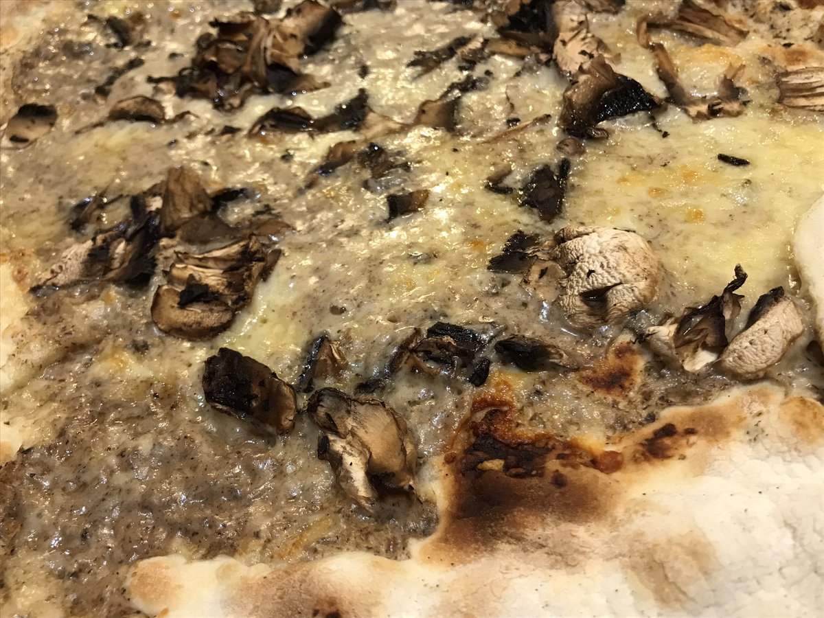 inigoladronm's tweet photo. Los @latagliatella nos gustan y en especial su pizza tartufi e funghi! 🍕También los tortellini fritti rellenos de carne 😋 #tagliatella #restaurante #restauranteitaliano #tratoria #comidaitaliana #restaurantestagliatella #antipasti #pizza #pasta #tartufiefunghi #tortellini https://t.co/LOuU0OhSAh
