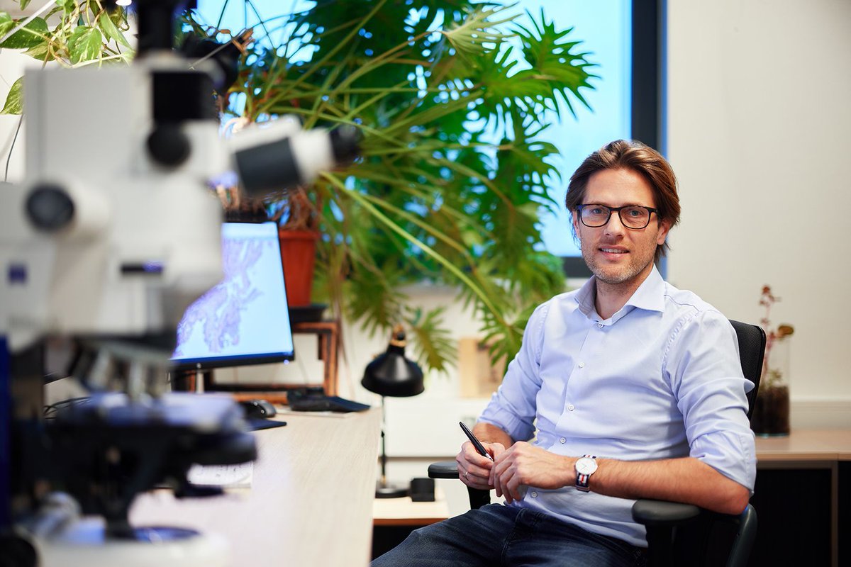 Hartwig Medical (@hartwigmedical) on Twitter photo Wat kan de techniek Whole Genome Sequencing (WGS) betekenen voor mensen met de diagnose Primaire Tumor Onbekend (PTO)? “In ongeveer de helft van de patiënten kom je wél tot een diagnose”: Kim Monkhorst, patholoog <a href="/hetAVL/">Antoni van Leeuwenhoek</a>. Podcast van de @NTvG_actueel: buff.ly/48vxFZE Wat kan de techniek Whole Genome Sequencing (WGS) betekenen voor mensen met de diagnose Primaire Tumor Onbekend (PTO)? “In ongeveer de helft van de patiënten kom je wél tot een diagnose”: Kim Monkhorst, patholoog <a href="/hetAVL/">Antoni van Leeuwenhoek</a>. Podcast van de @NTvG_actueel: buff.ly/48vxFZE