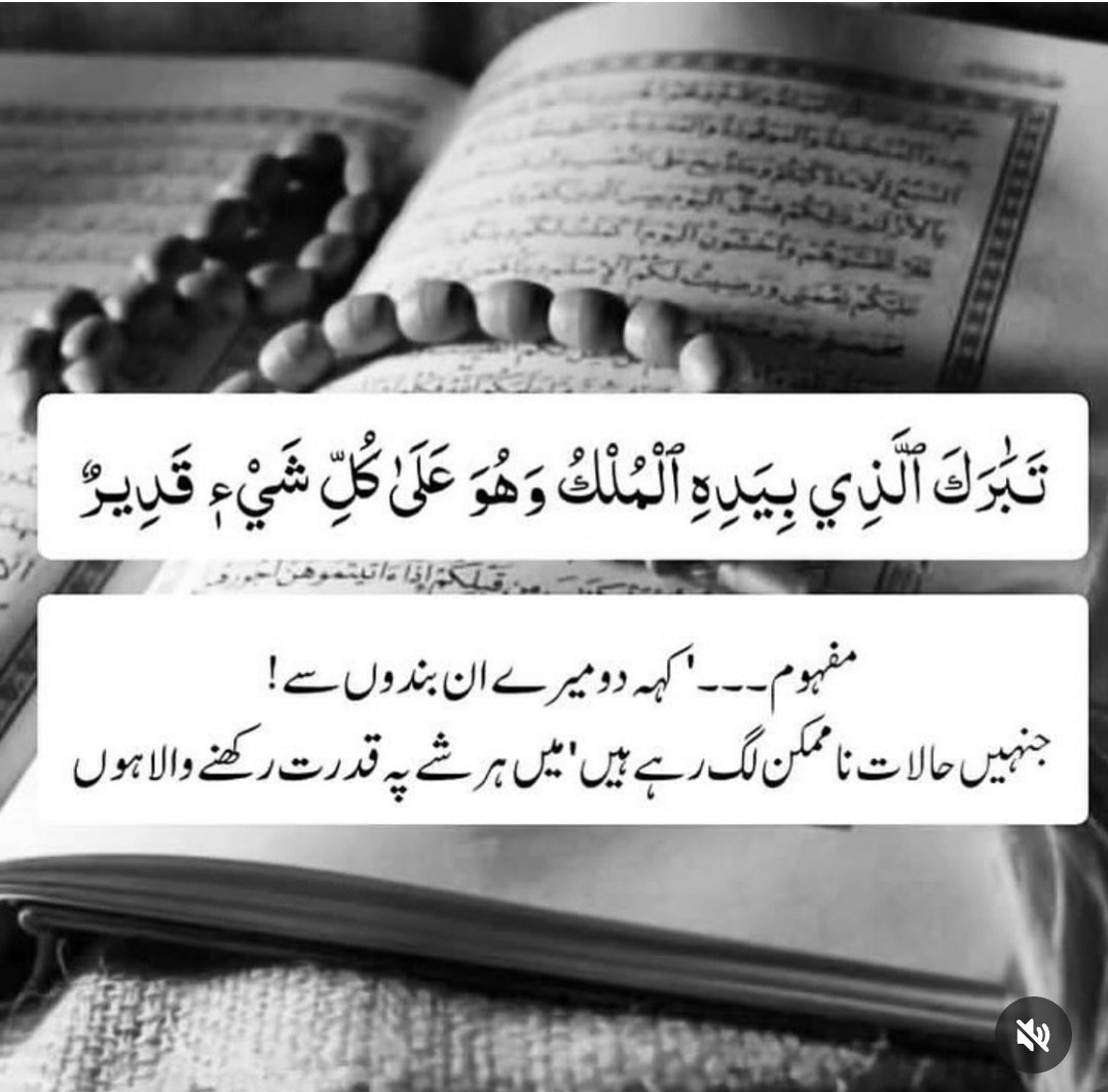 Gudmorng x family......
Subhan allah