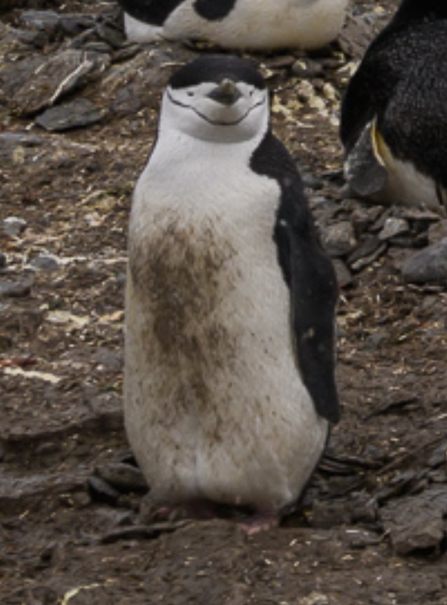 Ms Abidi 🗺 tweet media