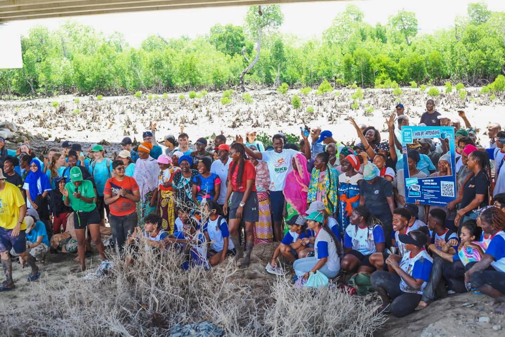 Blue Earth Organization tweet media