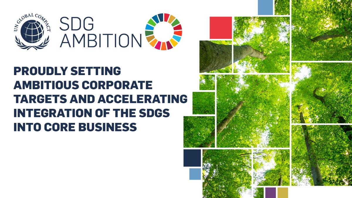 Me olemme mukana UN Global Compact Network Finlandin SDG Ambition -ohjelmassa!

SDG Ambition -koulutusohjelman aikana kehitetään yritysmaailman ratkaisuja kestävän kehityksen haasteisiin. 

#hankkija #SDGAmbition #UnitingBusiness @globalcompactFi