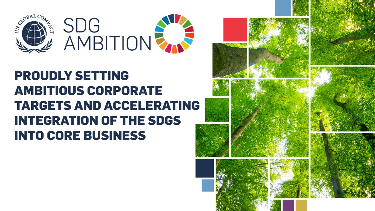hankkijafi's tweet image. Me olemme mukana UN Global Compact Network Finlandin SDG Ambition -ohjelmassa!

SDG Ambition -koulutusohjelman aikana kehitetään yritysmaailman ratkaisuja kestävän kehityksen haasteisiin. 

#hankkija #SDGAmbition #UnitingBusiness @globalcompactFi
