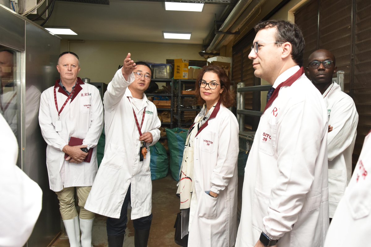 ILRI's tweet photo. Pleased to welcome @CGIAR_EMD Ismahane Elouafi &amp; @Guillaum_Grosso @ILRI's campus in #Nairobi &amp; #Kapiti, to highlight livestock's key role in building productive and resilient agri-food systems.
 
#OneCGIAR #WithScienceWeCan #WhyLivestockMatter #SolutionsWithLegs https://t.co/1nbLRVgfBw