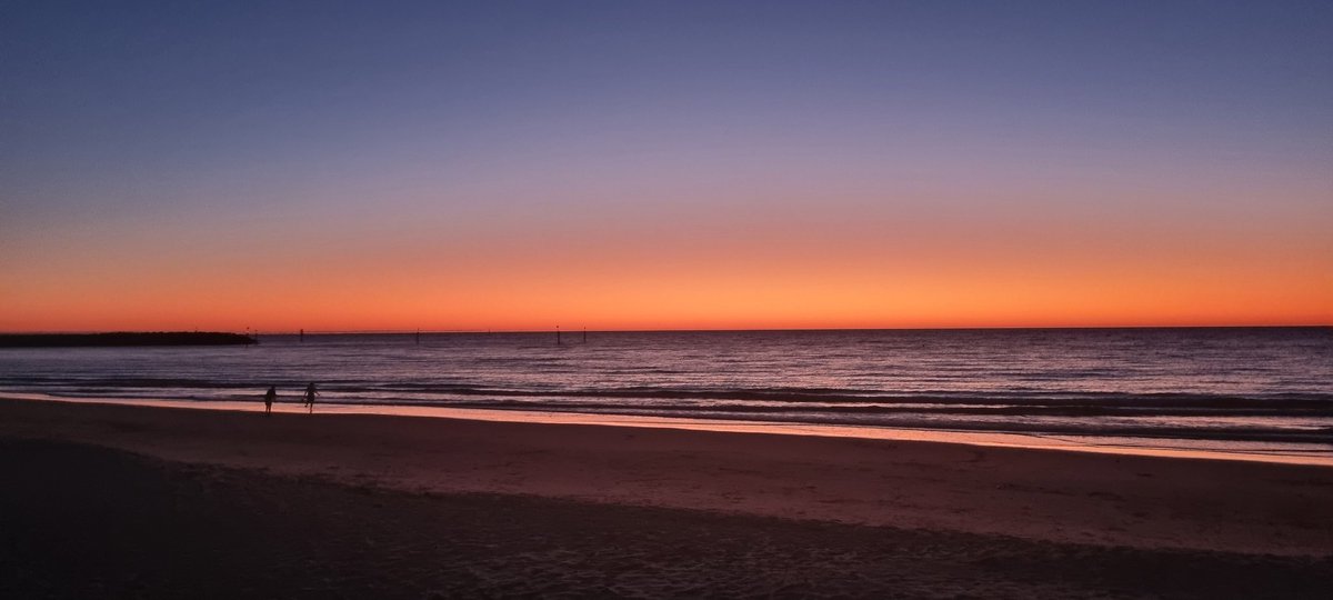 Steve Cotton tweet media