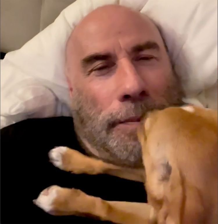 It’s nap time with peanut 

#peanut #johntravolta #Ben024 #siesta #capitalone
