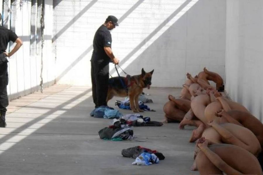 严 (@kenny64058959) on Twitter photo 