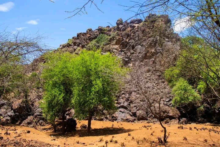 Baringo County Conservancies Association tweet media