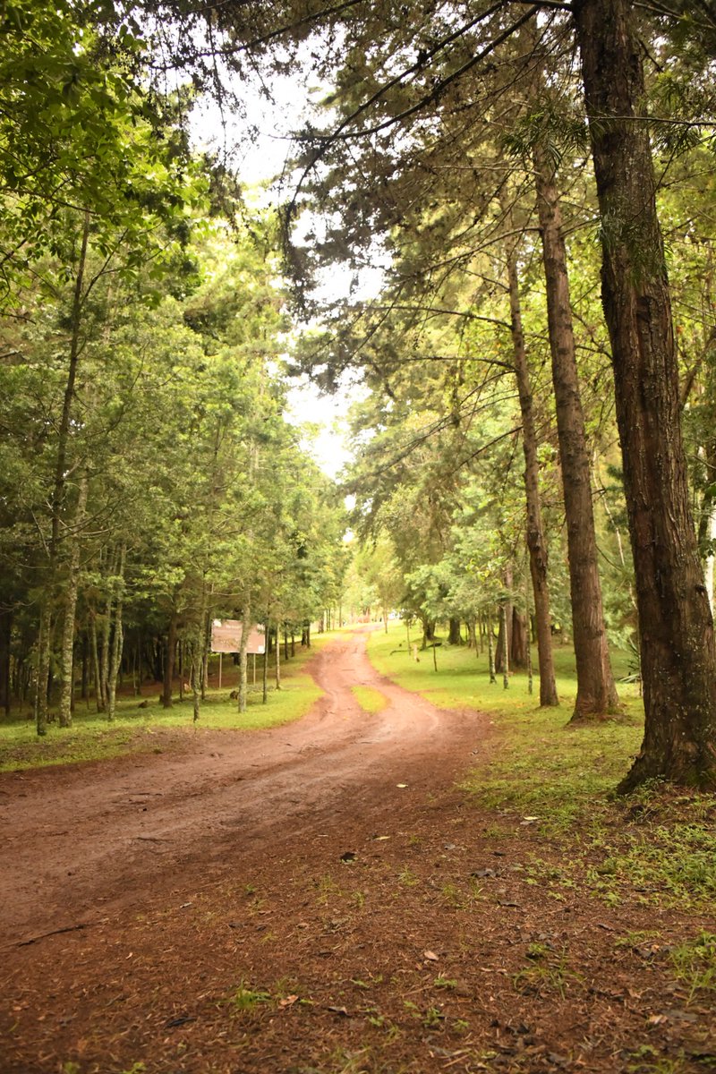 Baringo County Conservancies Association tweet media