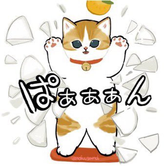 no humans cat food mandarin orange animal focus white background fruit  illustration images