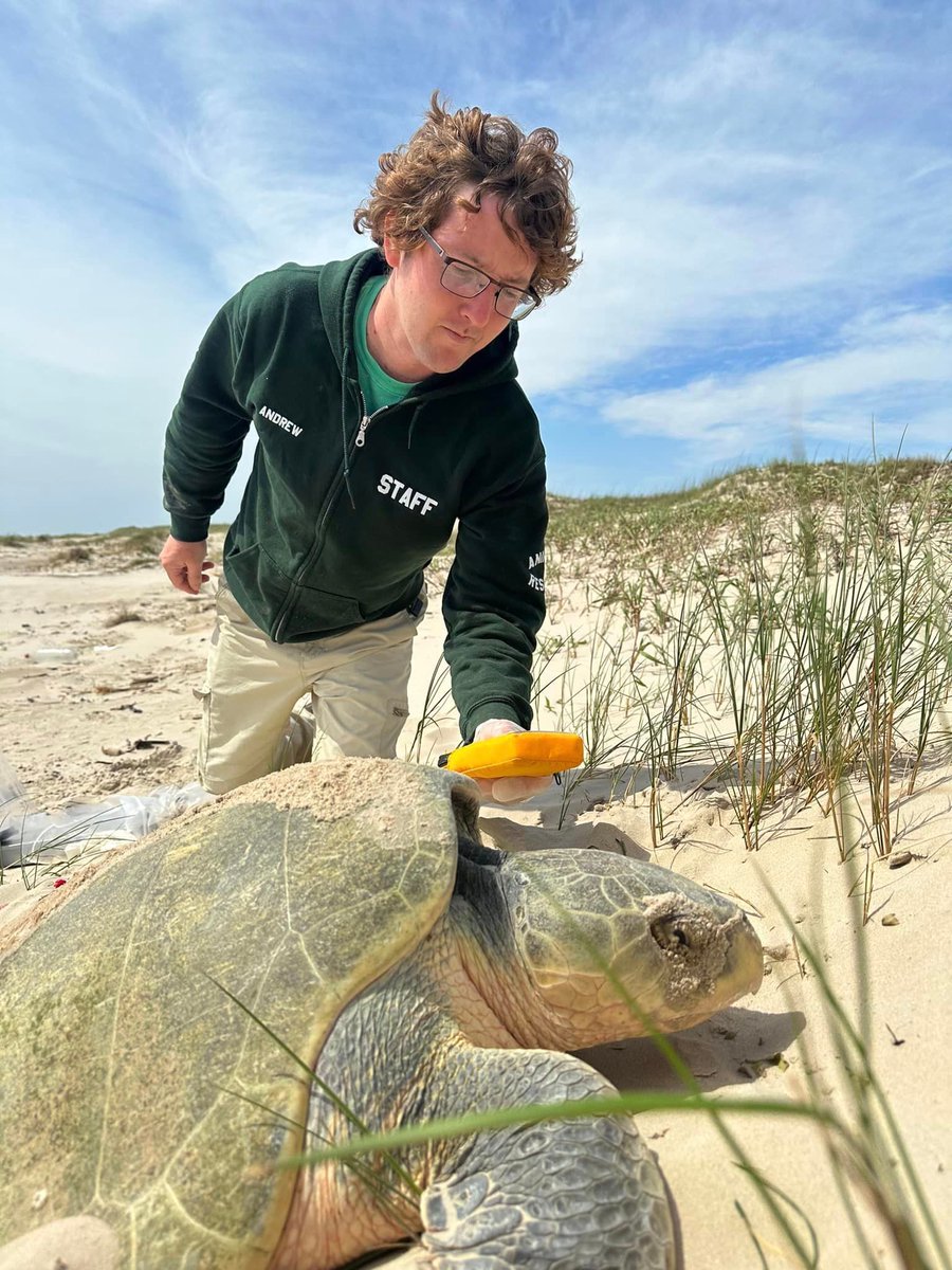 UTMSI's tweet photo. Come join us tonight at 7 pm (doors open at 6:30 pm) for a FREE public lecture by Andrew Orgill from the #UTMSI - โA year in Review: Interesting cases at the Amos Rehabilitation Keepโ (Patton Center, 855 East Cotter Ave., Port A). ๐ข #PublicLectureSeries https://t.co/qB9JeMeGbz