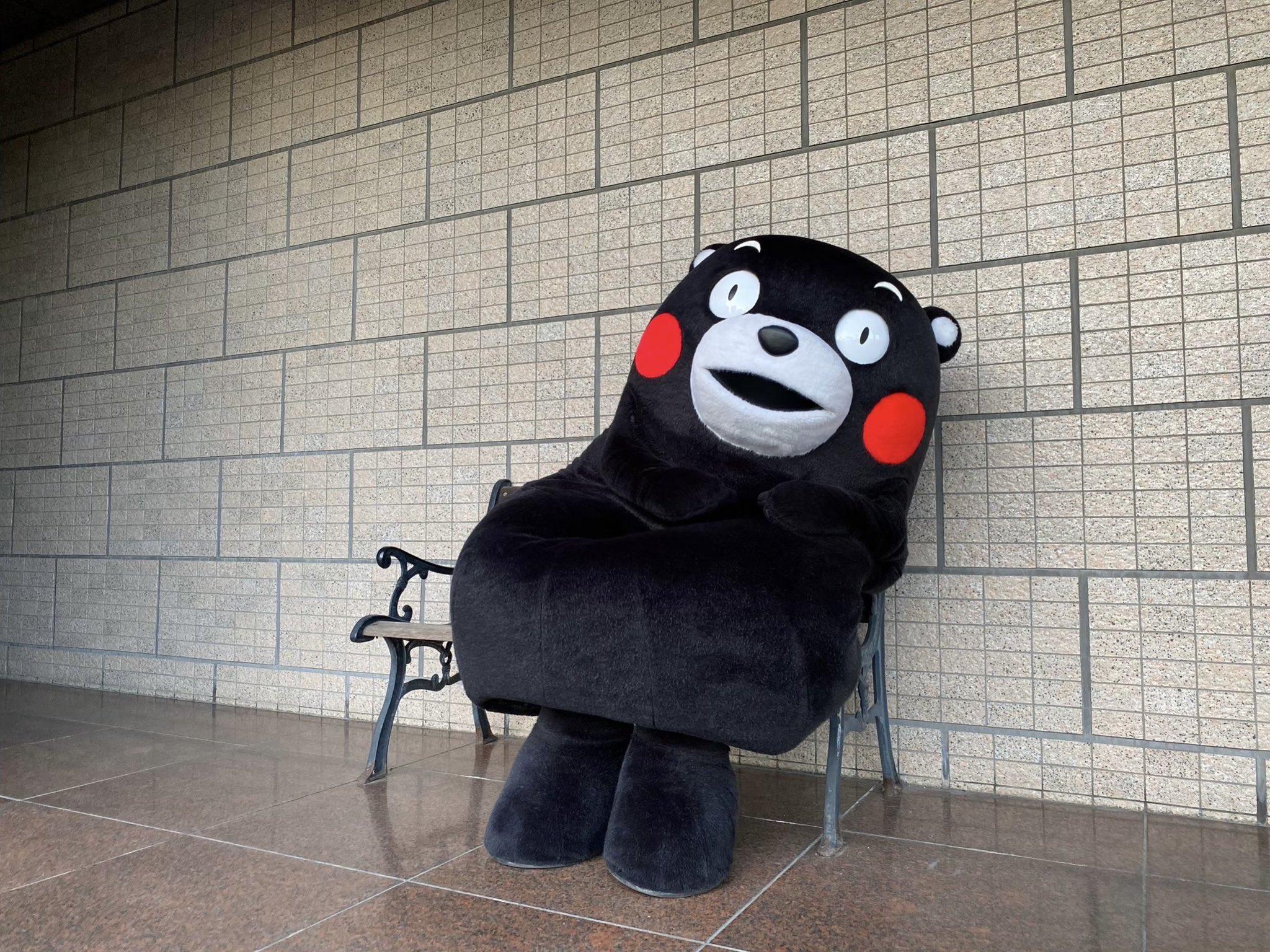 くまモン【公式】 on X: 