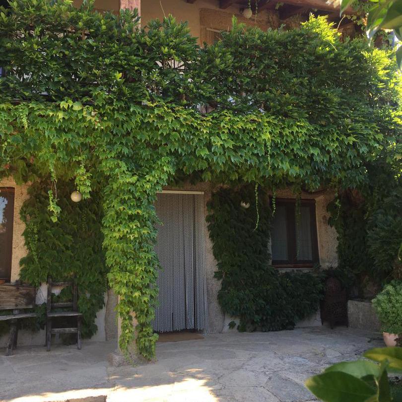 zonasrurales's tweet photo. Con dos corrales, tenadas, lagar y antiguo horno, las viviendas La Casa y El Pajar brindan opciones flexibles de alquiler. Explora el huerto transformado en un oasis con jardines, patios, piscina y pozo. 
👉 https://t.co/R0n0IFjhwI https://t.co/vufoBhqRod