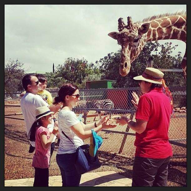 Afet Aktugrali tweet media