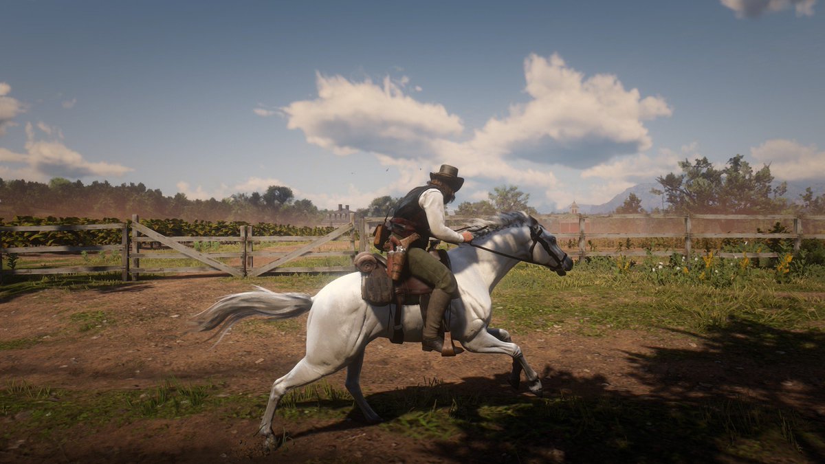 _SARFU_01's tweet photo. Beauty❤️
#RedDeadRedemption2pc https://t.co/PwsvAiU3wG
